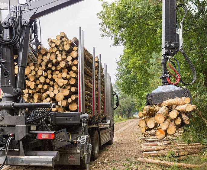 forestry-and-timber